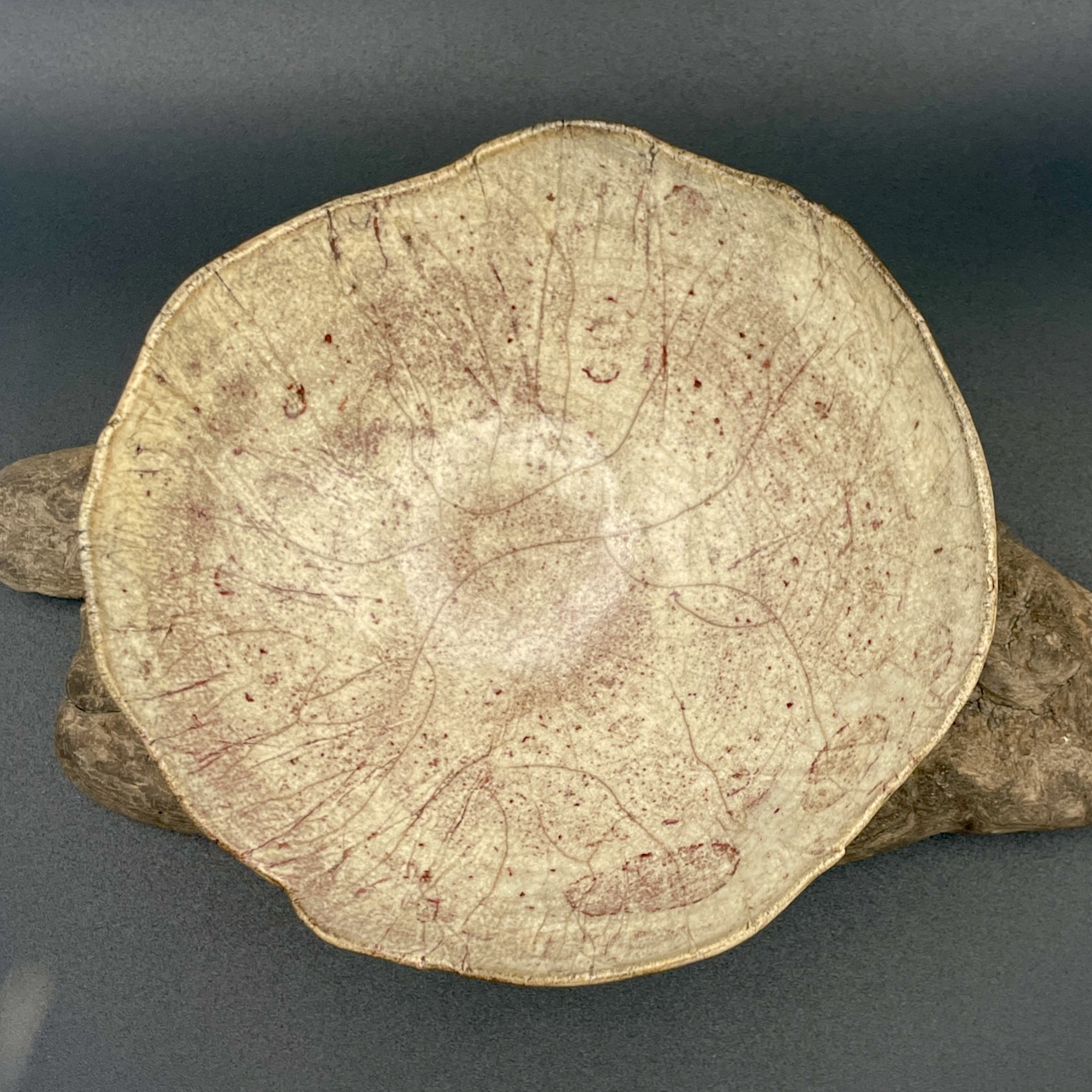 Coupelle de présentation – Image 2