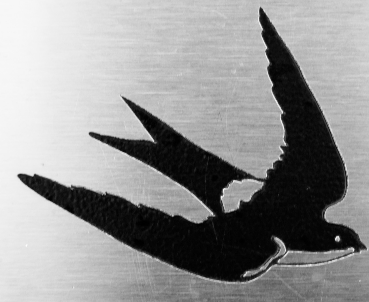 hirondelle Dundee